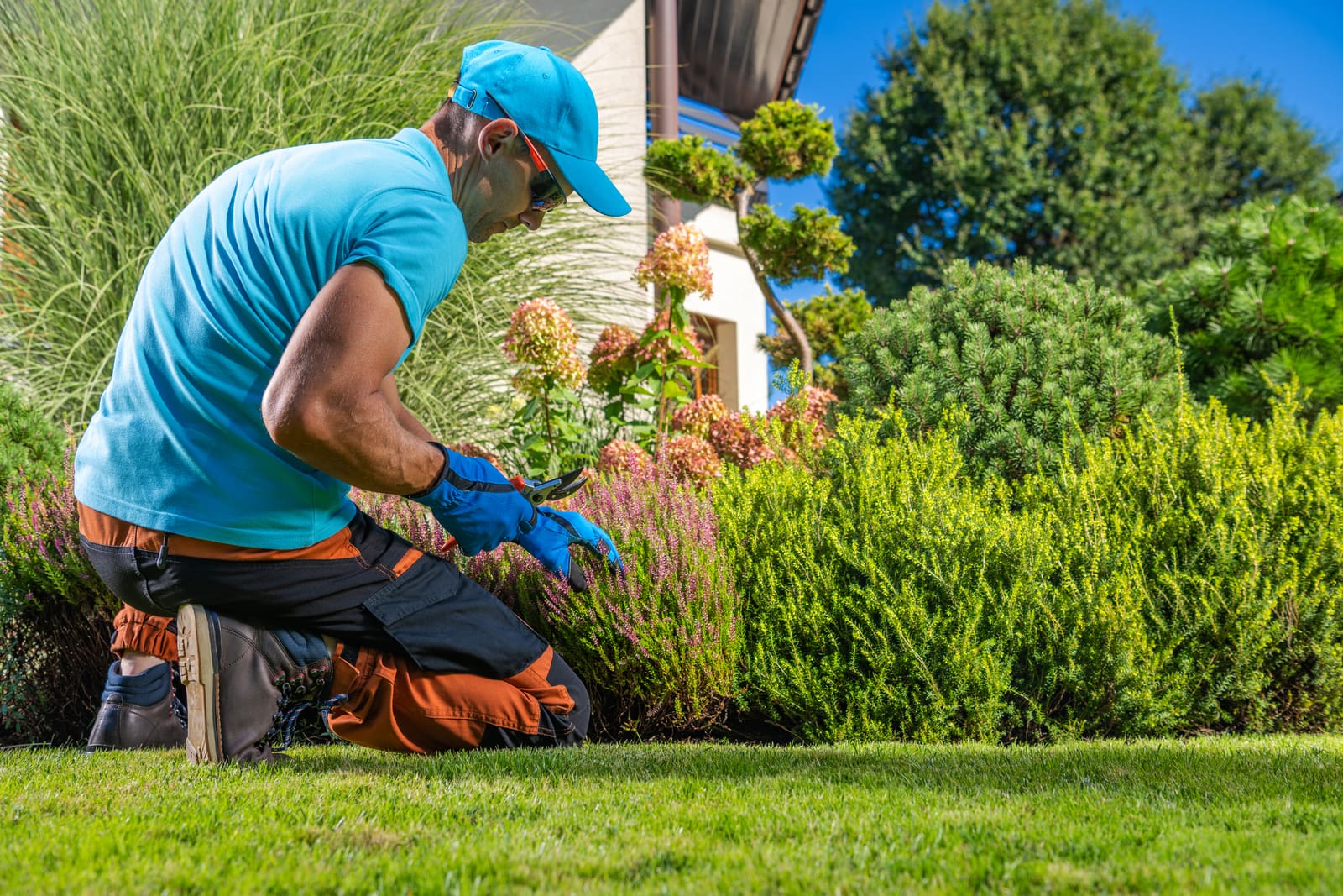 Best Practices for Client Follow-up for Lawn Care Professionals