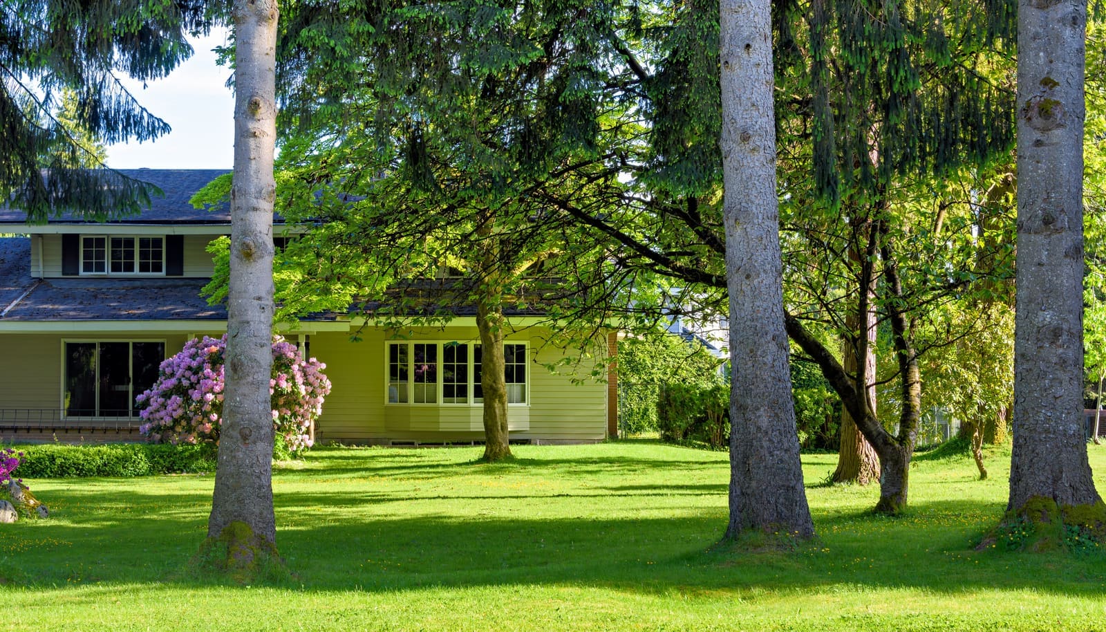 How to Reduce Operational Waste in Lawn Businesses