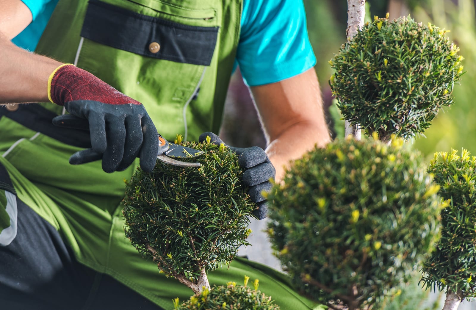 How to Promote Green Lawn Services Online