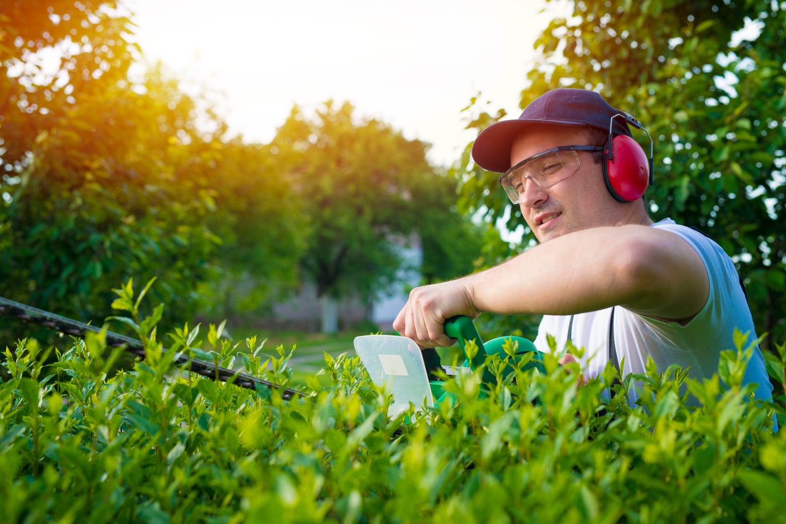 The Advantages of Offering “Chemical-Free” Lawn Packages