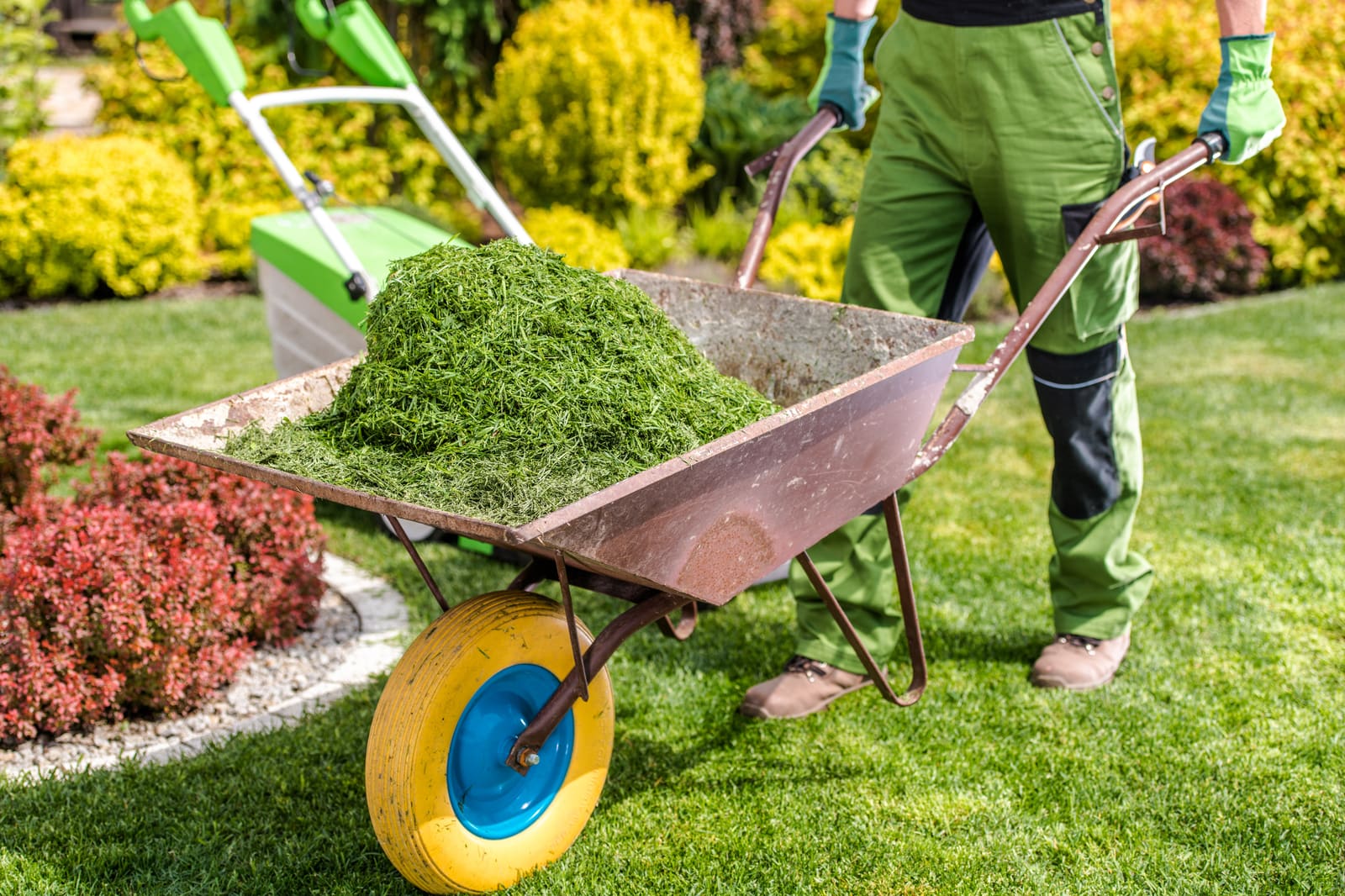 The Best Digital Tools for Seasonal Lawn Management